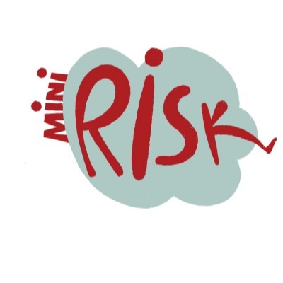 Mini RISK