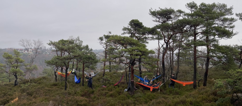 Hengekøyer på Øylihei