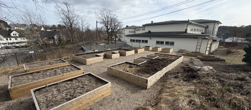 Tidlig vår i skolehagen 