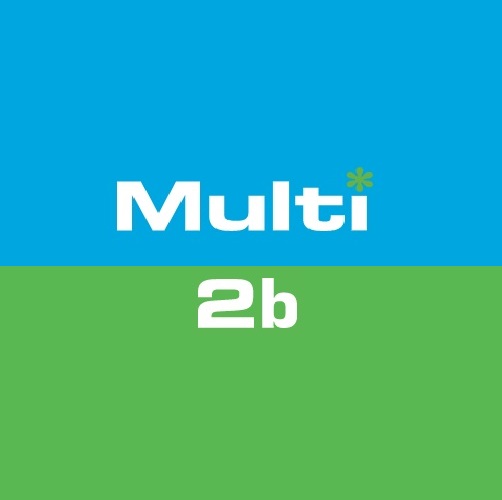 Multi 2b nettoppgaver